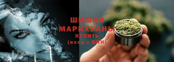 эйфоретик Арсеньев