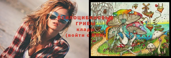 эйфоретик Арсеньев